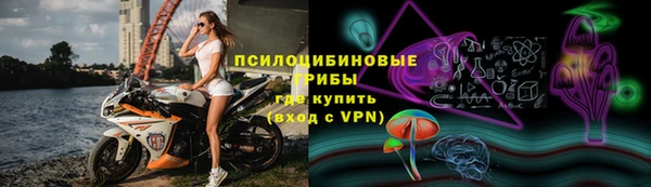MDMA Premium VHQ Богородицк