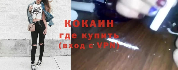 стафф Богданович