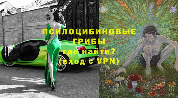 стафф Богданович