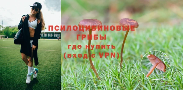 скорость Бронницы