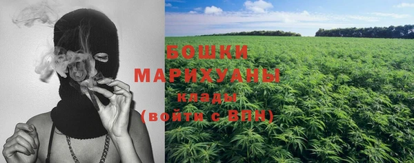 стафф Богданович