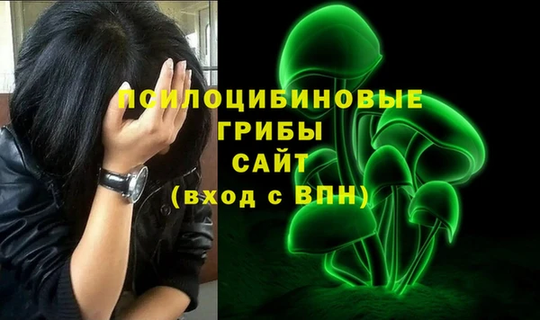 скорость Бронницы