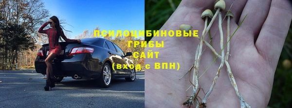MDMA Premium VHQ Богородицк
