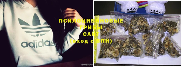 стафф Богданович