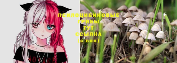 мяу мяу мука Бородино